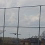 ZAYFERUS - Výcvik dravců, 26. 5. 2016