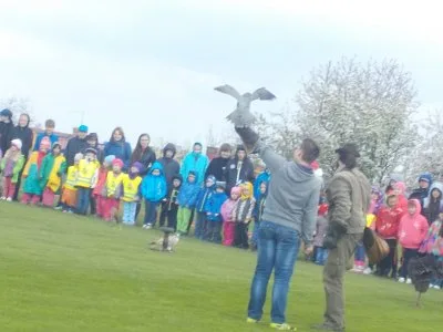 ZAYFERUS - Výcvik dravců, 26. 5. 2016