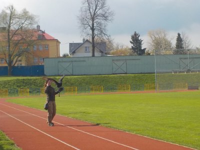 ZAYFERUS - Výcvik dravců, 26. 5. 2016