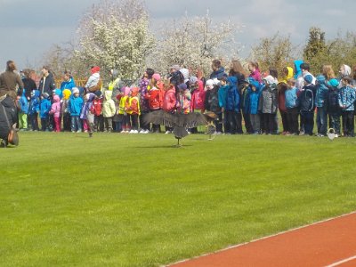 ZAYFERUS - Výcvik dravců, 26. 5. 2016