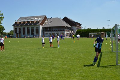 6:0 pro němčinu, 9. 6. 2016