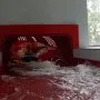 Exkurze sedmáků do Pardubic, 6. 6. 2016
