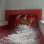 Exkurze sedmáků do Pardubic, 6. 6. 2016