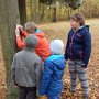 Den stromů, 23. 11. 2016