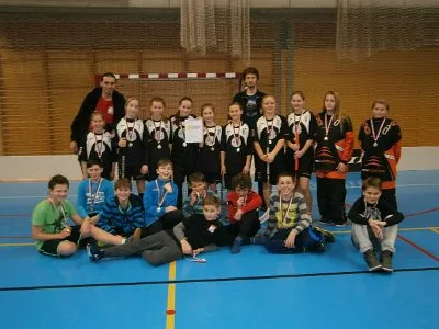 Medaile z krajského kola zacinkaly florbalistům i florbalistkám ZŠ Komenského, 20. 1. 2017