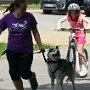Dopoledne v přírodě, 15. 5. 2017