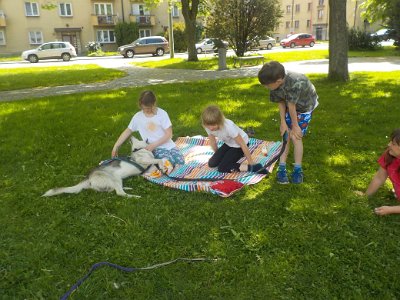 Dopoledne v přírodě, 15. 5. 2017