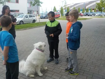 Dopoledne v přírodě, 15. 5. 2017
