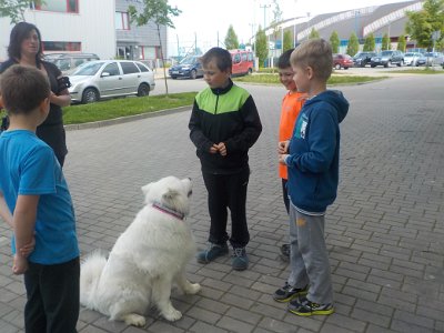 Dopoledne v přírodě, 15. 5. 2017