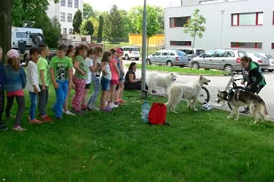 Dopoledne v přírodě, 15. 5. 2017