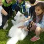 Dopoledne v přírodě, 15. 5. 2017