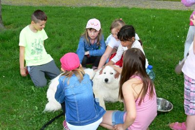 Dopoledne v přírodě, 15. 5. 2017