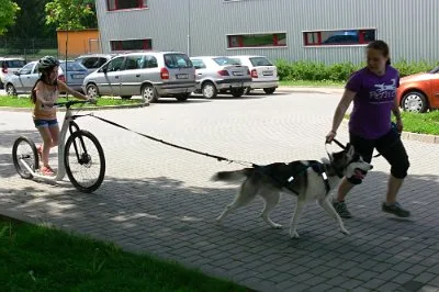 Dopoledne v přírodě, 15. 5. 2017