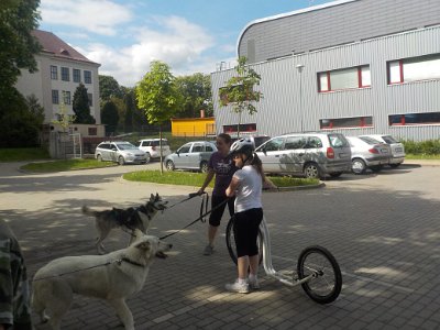 Dopoledne v přírodě, 15. 5. 2017