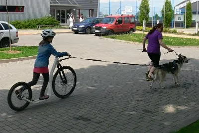 Dopoledne v přírodě, 15. 5. 2017