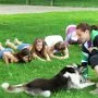 Dopoledne v přírodě, 15. 5. 2017