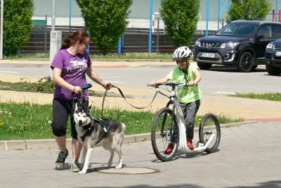 Dopoledne v přírodě, 15. 5. 2017