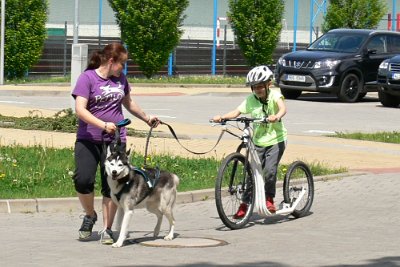 Dopoledne v přírodě, 15. 5. 2017