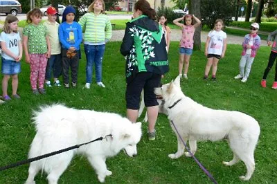 Dopoledne v přírodě, 15. 5. 2017