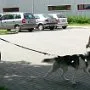 Dopoledne v přírodě, 15. 5. 2017