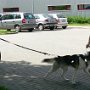 Dopoledne v přírodě, 15. 5. 2017