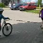Dopoledne v přírodě, 15. 5. 2017