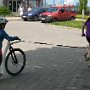 Dopoledne v přírodě, 15. 5. 2017