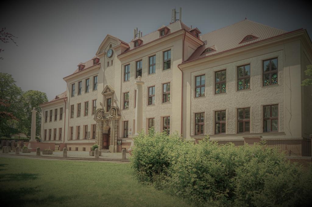 Dotazníkové šetření, 17. 6. 2020