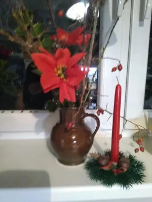 Vánoce 2020, 16. 12. 2020