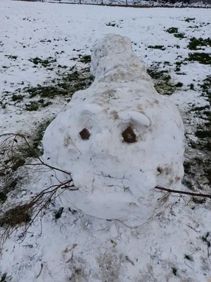 Sněhové hrátky, 7. 1. 2021