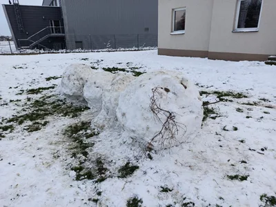 Sněhové hrátky, 7. 1. 2021