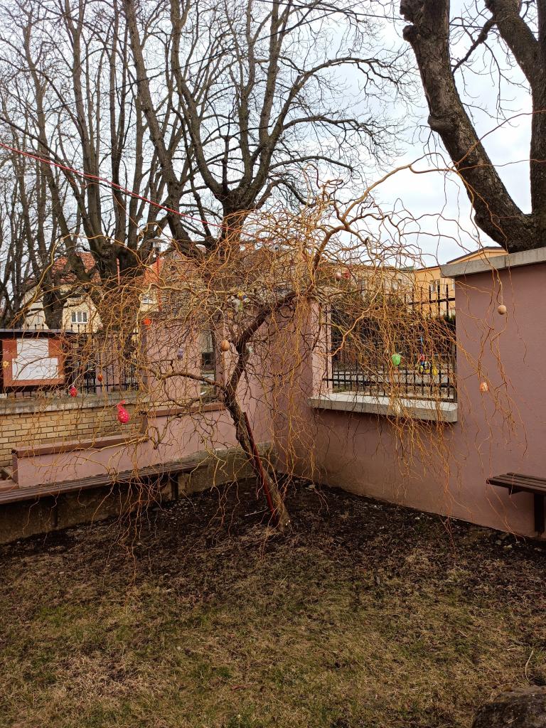 Vajíčkovník 2021, 10. 3. 2021