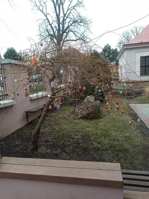23/03/2021