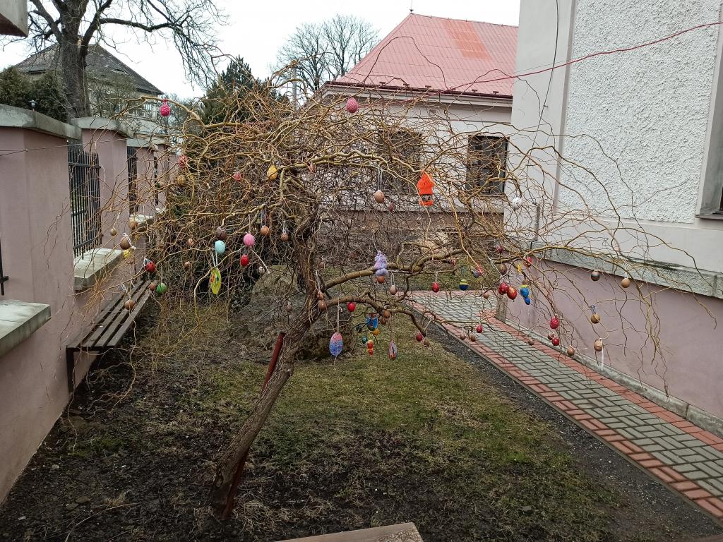 Vajíčkovník 2021, 10. 3. 2021