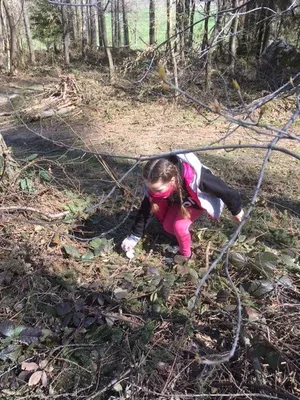 Den Země, 28. 4. 2021