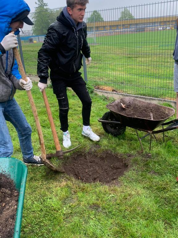 Jinan dvoulaločný aneb David Ginkgo Biloba, 13. 5. 2021