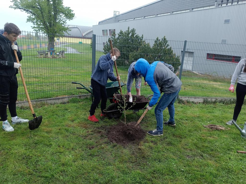 Jinan dvoulaločný aneb David Ginkgo Biloba, 13. 5. 2021