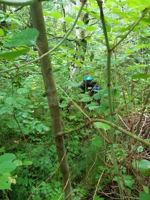 Paintball Proseč, 23. 6. 2021