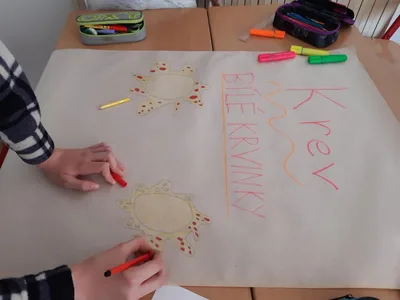 PŘÍRODOPIS: PROJEKT KREV - KREVNÍ SKUPINY A DÁRCOVSTVÍ KRVE, 8. 6. 2021