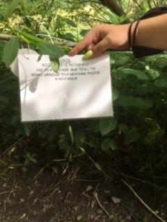 Šipkovaná, 29. 6. 2021