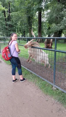 Školní výlet do zámku a zooparku v Častolovicích, 24. 6. 2021