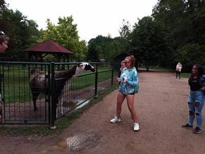 Školní výlet do zámku a zooparku v Častolovicích, 24. 6. 2021