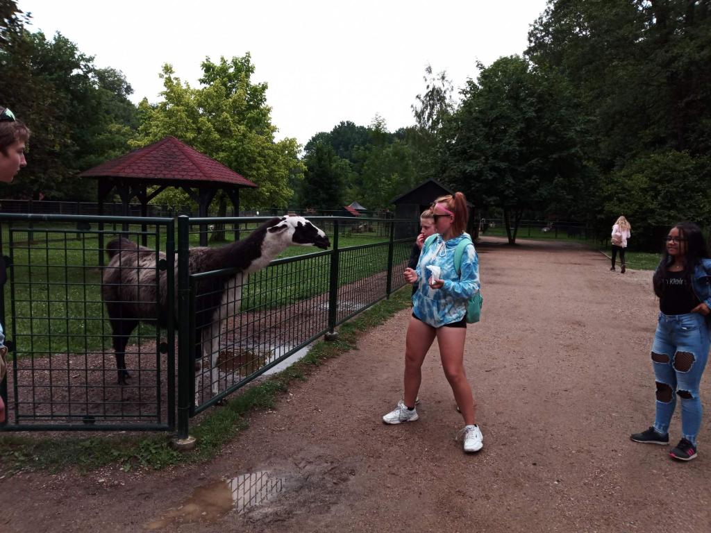 Školní výlet do zámku a zooparku v Častolovicích, 24. 6. 2021
