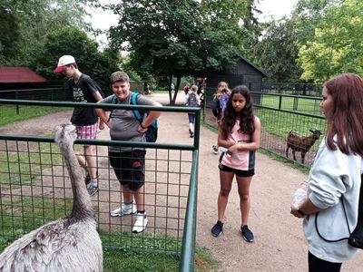 Školní výlet do zámku a zooparku v Častolovicích, 24. 6. 2021