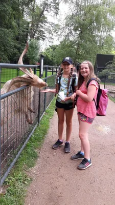 Školní výlet do zámku a zooparku v Častolovicích, 24. 6. 2021