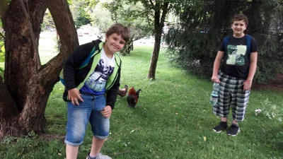 Školní výlet do zámku a zooparku v Častolovicích, 24. 6. 2021