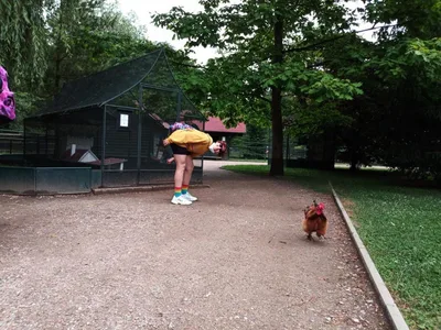 Školní výlet do zámku a zooparku v Častolovicích, 24. 6. 2021