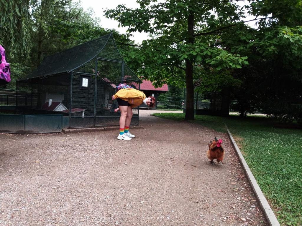 Školní výlet do zámku a zooparku v Častolovicích, 24. 6. 2021