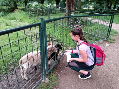 Školní výlet do zámku a zooparku v Častolovicích, 24. 6. 2021