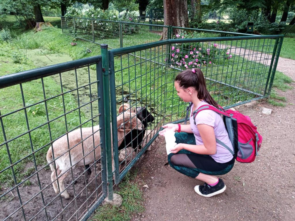 Školní výlet do zámku a zooparku v Častolovicích, 24. 6. 2021